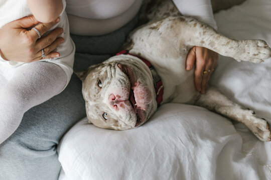 Mother and baby share moments with a dog at home