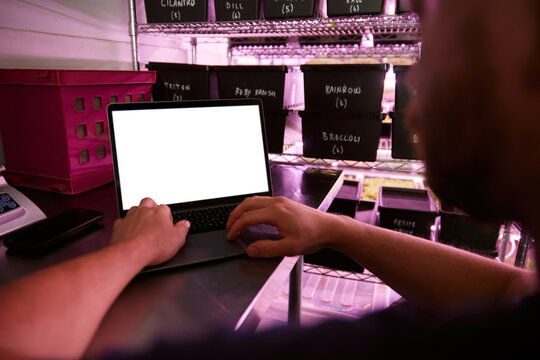 Person working on laptop in an indoor gardening facility small busines