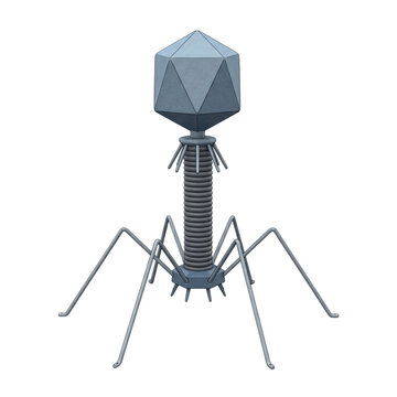 Bacteriophage Virus Isolated on Transparent Background