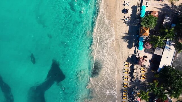 Aerial view of Friar's Bay Beach on the French side of Saint Martin island. Turquoise water of the Caribbean Sea meets the sandy shoreline. Sunbeds and beach umbrellas are lined up for tourists.