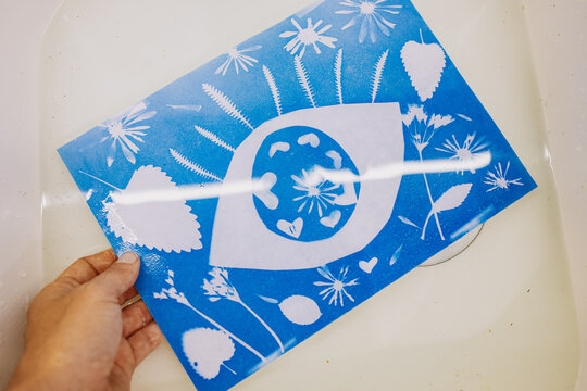 Hand Holding Cyanotype Print Over Sink