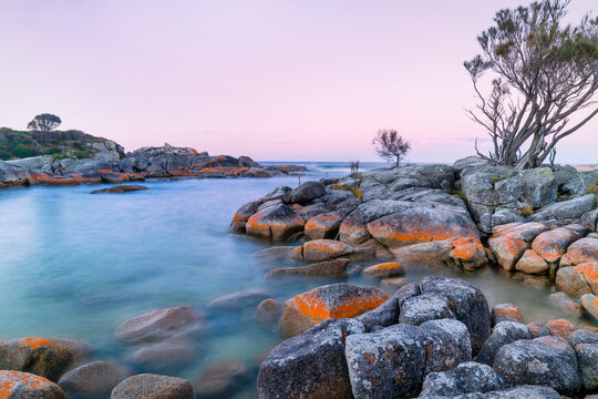 Bay of Fires Binalong Bay Tasmania