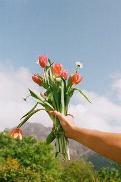 Flowers in hand with mountains and sky in the background