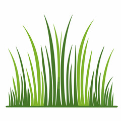 Fototapeta premium Green Grass Illustration