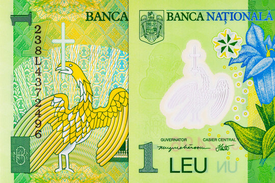 1 Leu Romania 2018, fragment for designers. Polymer money of Romania and the European Union.