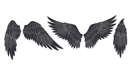 Obraz premium Set of Detailed Black Angel or Bird Wings in Various Positions