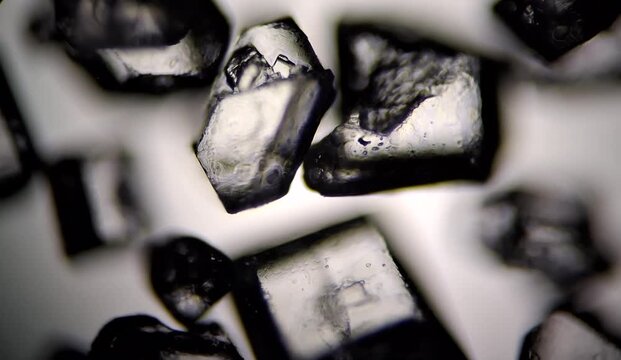 sugar crystals under the microscope