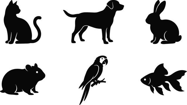 Dinosaur Silhouette Collection Featuring Tyrannosaurus Triceratops Velociraptor Stegosaurus Brachiosaurus and Pterodactyl Isolated Vector Set