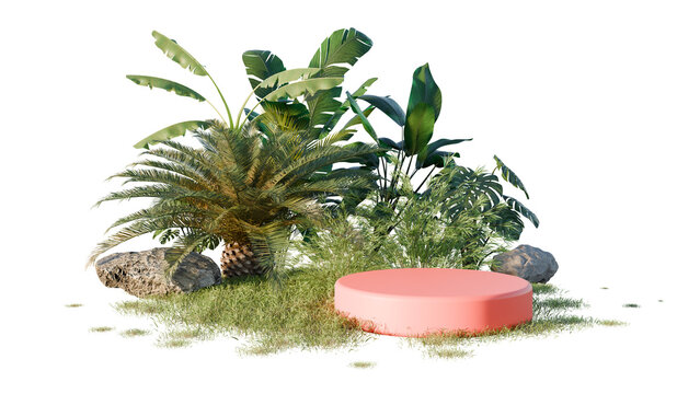 Pink Cylindrical Platform Surrounded by Tropical Plants and Rocks