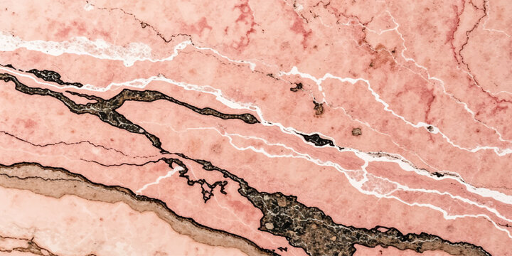 Tree bark texture with rough aged grunge surface and natural pattern background