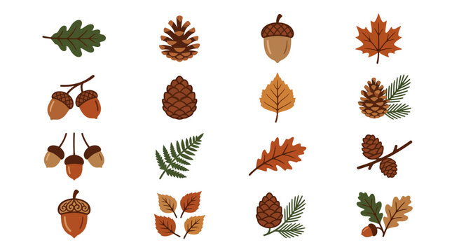 Autumn Leaves and Pine Cones.