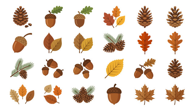 Autumn Leaves and Pine Cones.