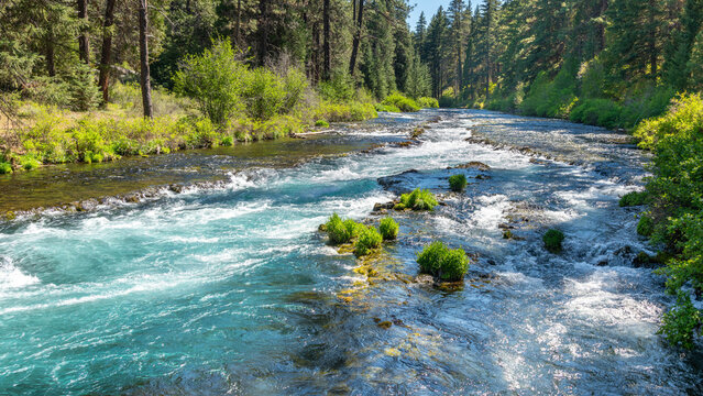 Wizard Falls Rapids on the Metolius River, Oregon