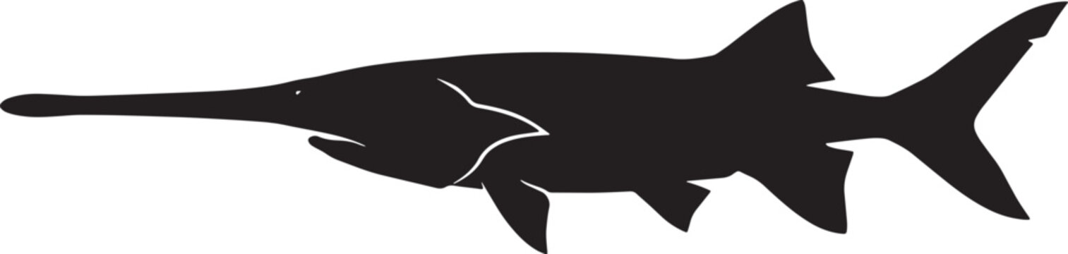 Paddlefish Silhouette Vector, Aquatic Wildlife Icon, Swordfish Shape, Marine Animal Graphic, Fishing Symbol, Black and White Illustration