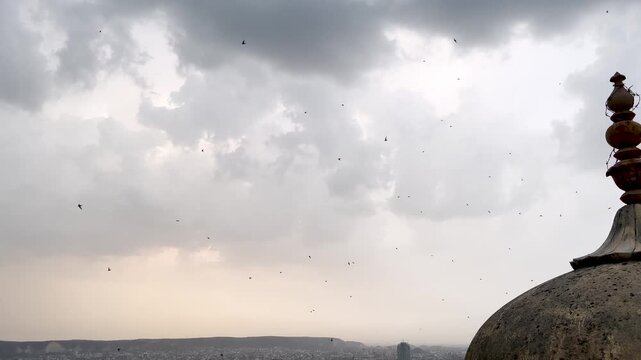 Flock of swift birds flying across the evening sky above the cityscape of Jaipur as seen from Nahargarh Fort. Scenic urban panorama with warm sunset light, and historic surroundings
