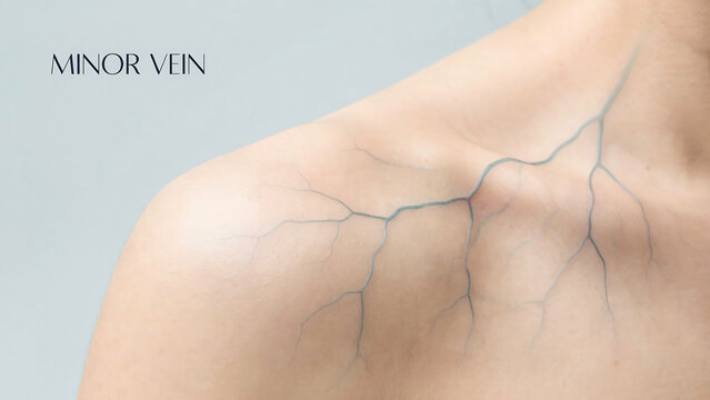 Human arm with visible veins on skin  minor vein  close up