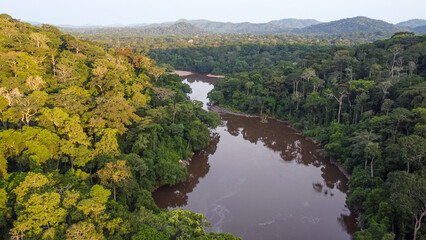 Dja river in Congo basin rainforest © tomjunek.com