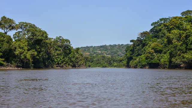 Dja river in Congo basin rainforest