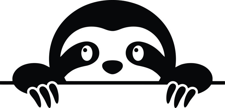 Adorable cartoon sloth peeking over a horizontal line with its face and paws looking curiously from above a border