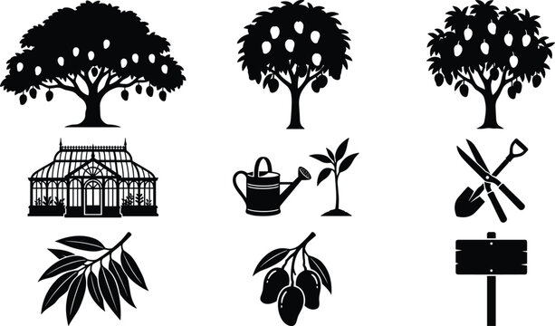 Mango Orchard and Gardening Silhouette Icon Set Featuring Fruit Trees Greenhouse Planting Tools Harvest Branches and Agriculture Symbols