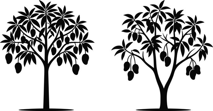 Mango Tree Silhouette Collection Featuring Tropical Fruit Bearing Trees Botanical Nature Illustration and Orchard Agriculture Design