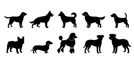 Obraz premium Domestic Dog Breeds Black Silhouette Set