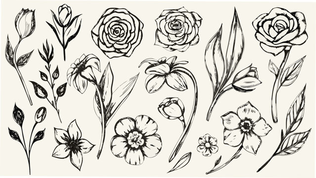Floral ornament of sketched roses daffodils and pansies on a beige background