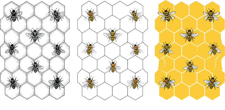 Honey Bee and Honeycomb Vector Seamless Pattern Set with Sketchy Insect Illustrations for Backgrounds, Textiles, Wrapping Paper, and Graphic Designs
