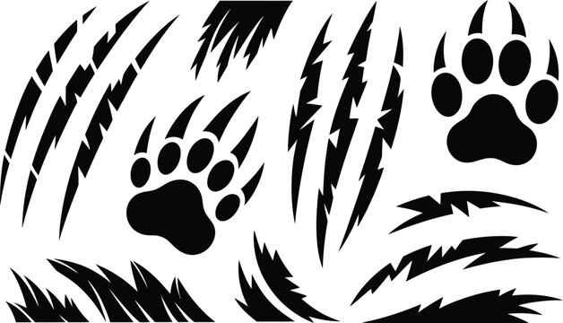 Assorted collection of wild animal claw scratches and paw prints with predator silhouette isolated dangerous aggressive illustration abstract wilderness footprint