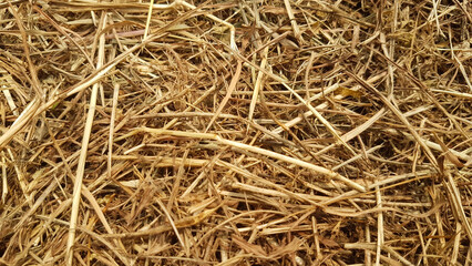 A pile of dry, brownish grass. © AETalaksoru