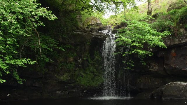 Scenic Waterfall Dropping into Dark Forest Pool