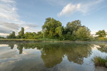 Fototapeta premium Reflection of trees on water of pond during sunny day
