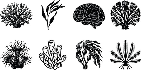 Marine Life And Coral Reef Vector Icon Set Featuring Sea Anemone Seaweed And Low Poly Brain Concept © MstMahurun