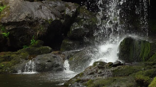 Waterfall Splashing onto Wet Mossy Rocks Base Close Up