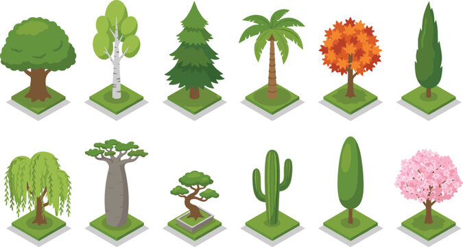 Isometric tree icon set with green oak palm pine birch baobab bonsai cactus cherry blossom and autumn foliage vector elements
