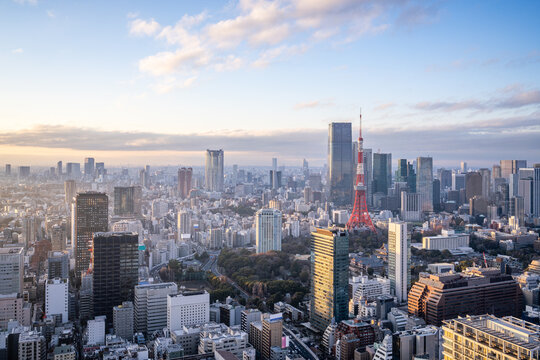 Tokyo skyline at sunset, Tokyo, Japan