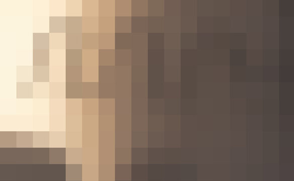 Abstract pixel art background in warm beige and brown tones with mosaic block pattern. Retro 8-bit style digital texture, minimal neutral backdrop..