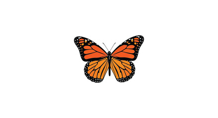 Monarch butterfly illustration with orange and black wings against a white background detailed and colorful insect lepidoptera © mdashraful