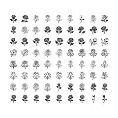 Obraz premium Rose Flower Icon and Botanical Symbol Vector Set