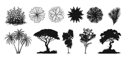 Hand drawn trees isolated sketch garden trees. Hand drawn deciduous and coniferous trees isolated on white background for landscape, Vector illustration. © skilleddesigner90