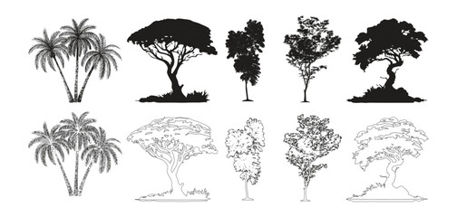 Hand drawn trees isolated sketch garden trees. Hand drawn deciduous and coniferous trees isolated on white background for landscape, Vector illustration. © skilleddesigner90