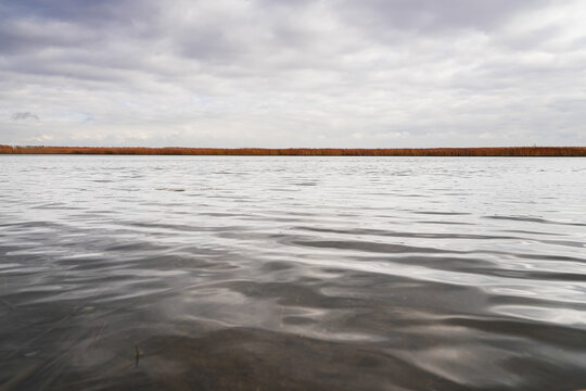 Autumn reeds along a quiet lake.