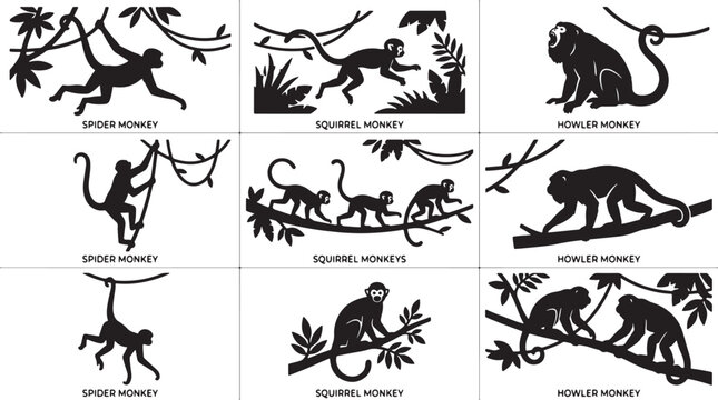 Monkeys Silhouette Vector Pack: Spider, Squirrel, Howler Primate Illustrations, Jungle Wildlife Graphics, Tropical Forest Scenes