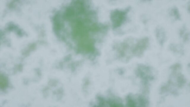 Abstract Swirling Green and White Fluid Background Texture