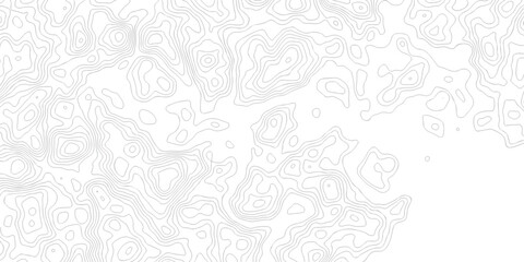 Abstract grid landscape topography white background. white and black relief line wireframe isoline location diagram world map texture design. © MOHAMMAD