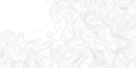 Abstract grid landscape topography white background. white and black relief line wireframe isoline location diagram world map texture design. © MOHAMMAD