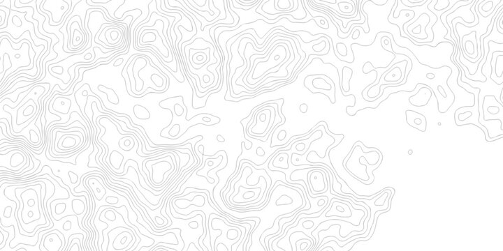 Abstract grid landscape topography white background. white and black relief line wireframe isoline location diagram world map texture design.