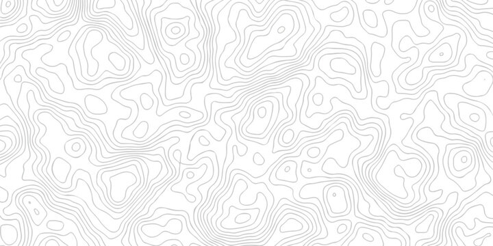 Abstract grid landscape topography white background. white and black relief line wireframe isoline location diagram world map texture design.