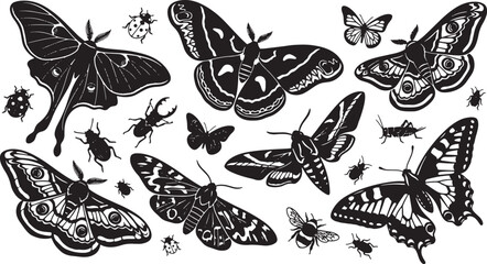 Intricate Black and White Moth and Insect Vector Illustrations, Detailed Lepidoptera and Beetle Graphics, Vintage Entomology Collection © Shariful