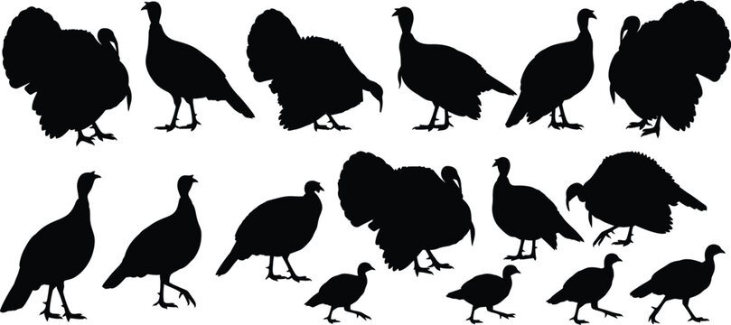 Turkey silhouettes collection diverse poses and sizes